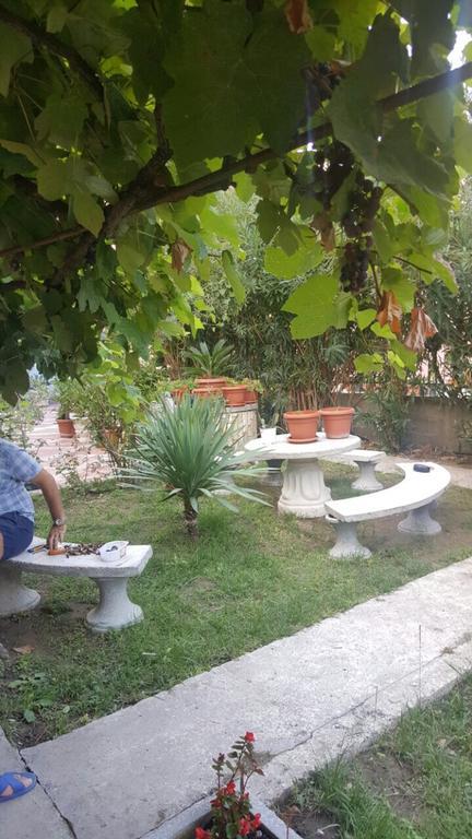 Gasthuis Garsoniere Me Qera 2*